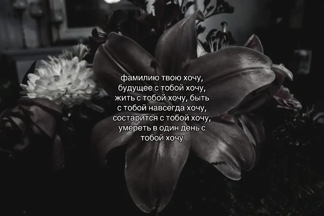 #щп #популярное #fyp #рекомендации #люблю 