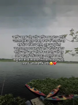 আমি তো এমন ভালোবাসা চাই নি_ যে ভালোবাসা কেউ থাকার পরও নিজেকে নিঃস্ব মনে হয়😓🥀 #CapCut 