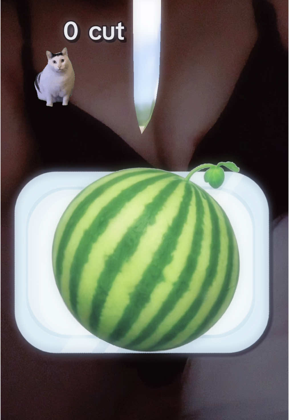 すいかたべたい🍉 #いいね #転載禁止  