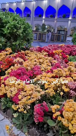 متباركين بمولد الامام الرضا  مدينة مشهد العتبه الرضويه 