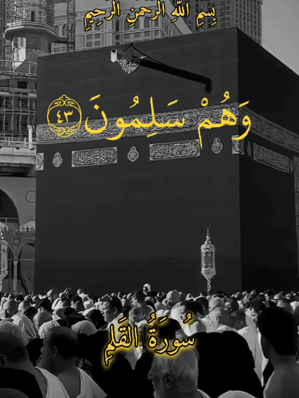 #يوم_يكشف عن #ساق ويدعون الى #السجود  #سورة_القلم  #لا_اله_الا_الله  #اللهم_صلي_على_نبينا_محمد  #قرآن_كريم_راحة_نفسية  #عبد_الباسط_عبد_الصمد  #الحنجرة_الذهبية  #سبحان_الله_وبحمده_سبحان_الله_العظيم  #انوار_الهدى  #مقاطع_قرآن_كريم #quran 