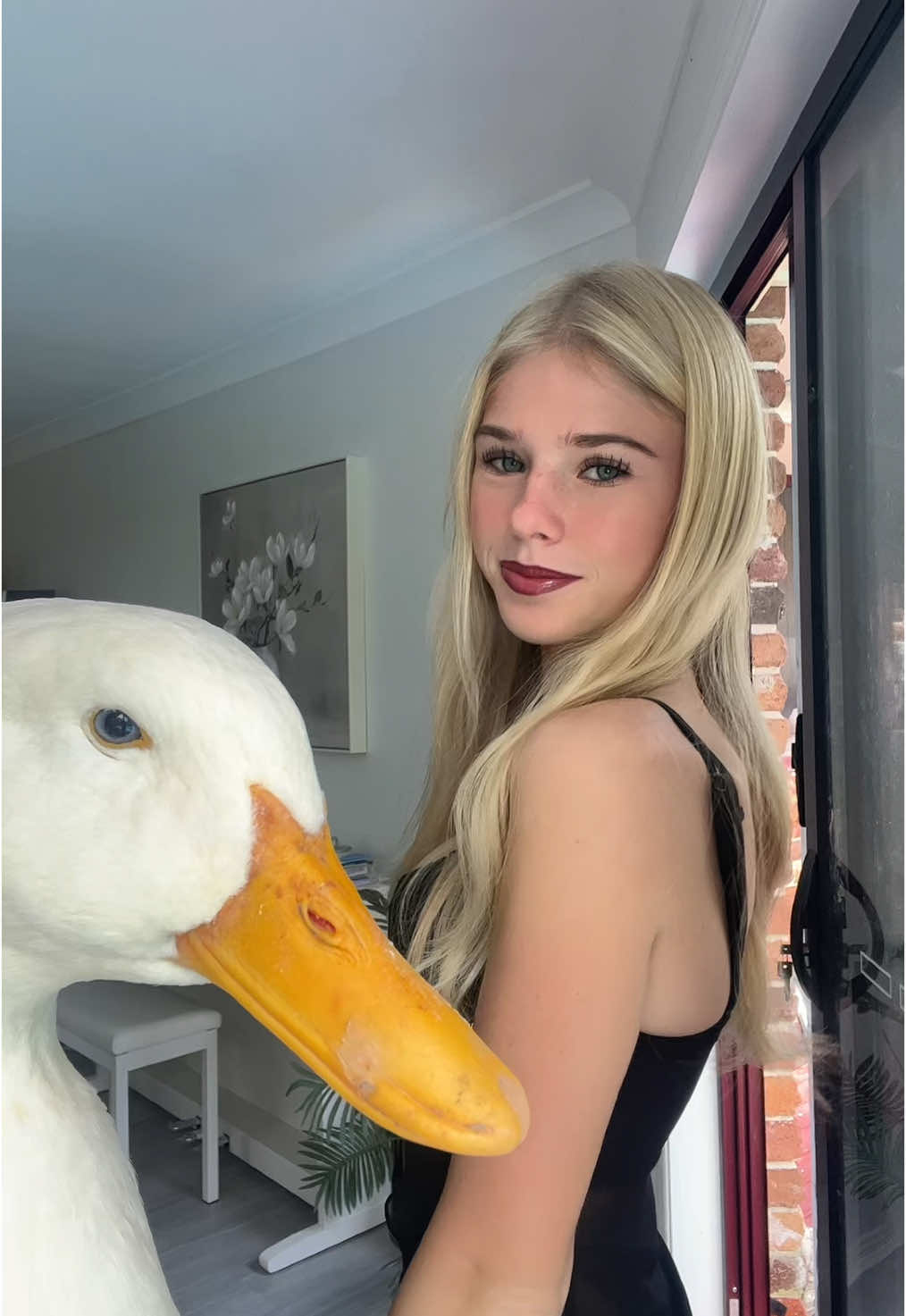 ducky #duck 