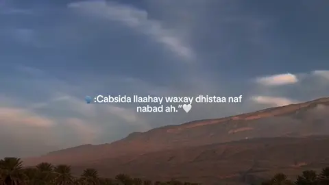 #muqtaar #virlvideo #cumarowww❤️‍🔥 #aabu_14 #mohitt #Islam #diin #quraan #xadiis #somalimuslim #dhageyso #akhlaaq 
