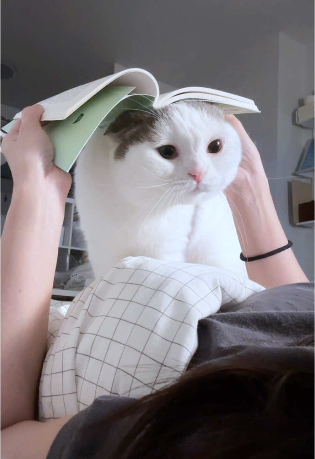 📓 หนังสือกับจู๊ด 🐶 แม่จะเลือกอะไร?