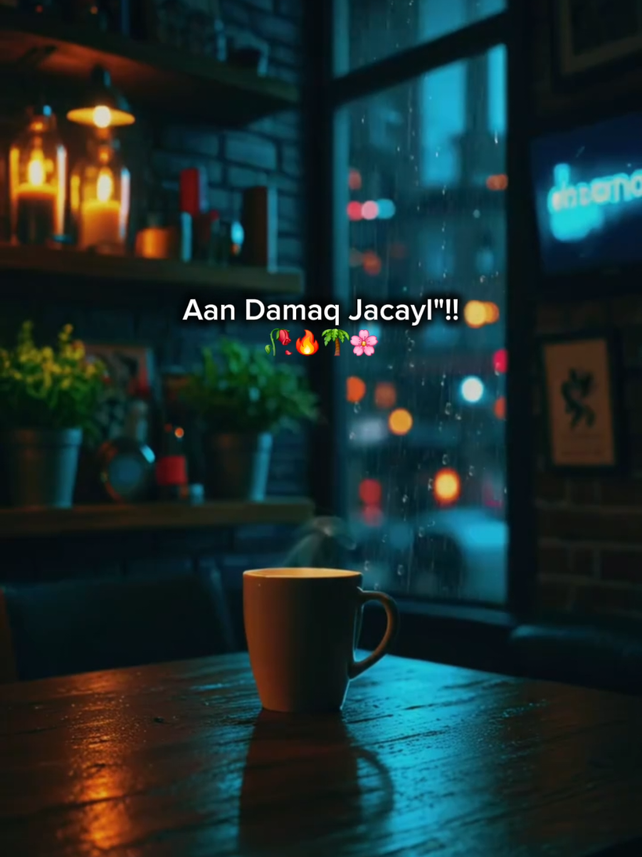 Waxay Ugu darnayd markii🔥🤌🥀🫶🌴🌸 #boodhari #hees #somalimusic #somalisong 