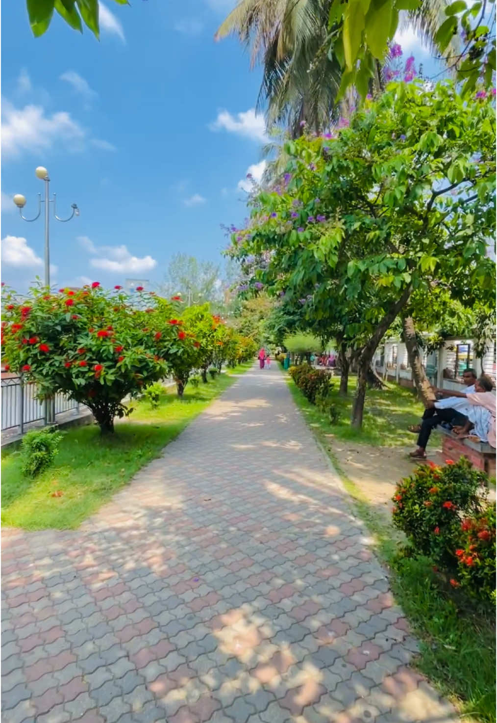 Nature🥰💖 #Rifat30  #fyp #foryou #foryoupage #tiktok #trending #viral #viralvideo #khulna #bangladesh🇧🇩 #hadisparkkhulna 