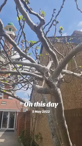 #onthisday