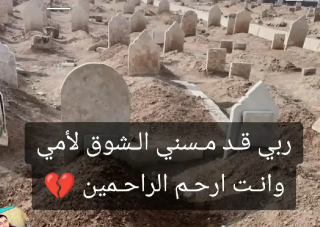 #أمي_جنتي  #لروحك_الطاهرة_الف_سلام  #ربي_يرحمك_ويغفرلك_ويجعل_مثواك_الجنة 