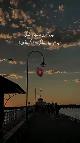 🙂💔. #urdlines🥀 #deeplines #unfrezzmyaccount #viewsproblem😭 #foryou #foryoupage #trending #onemillionaudition #plz TikTok team unfreezemyaccount @TiktokPakistanOfficial 