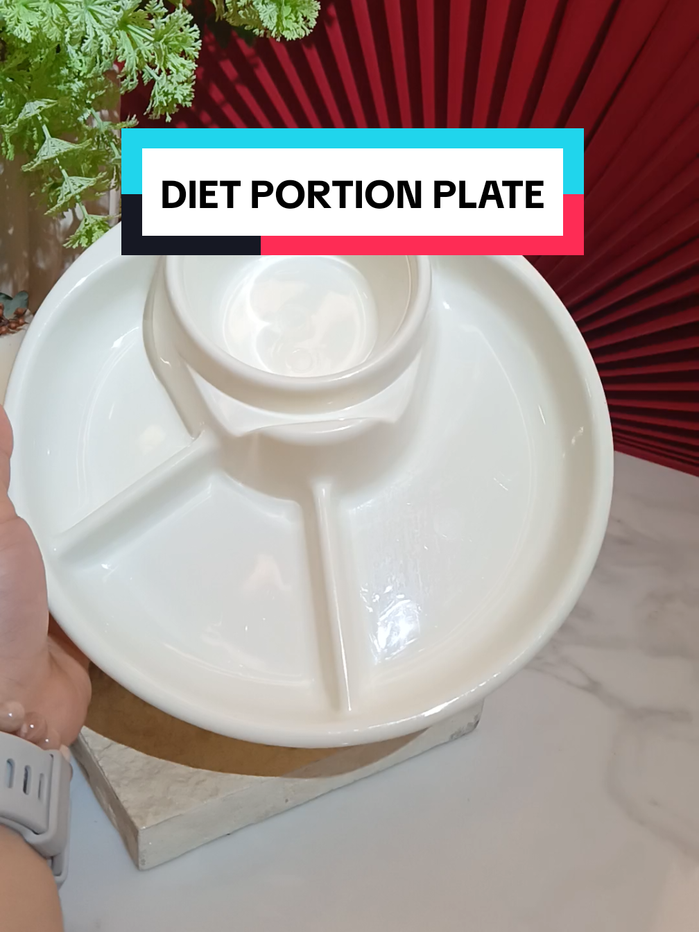 DIET PORTION PLATE ✨ #foryou #fyp #foryoupage #caloriedeficitmeals #portioncontrol 