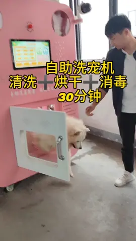 自助洗宠机源头工厂直销#dog #SourceFactory #Selfservicepetwashingmachine #pet #Petcleaningmachine 