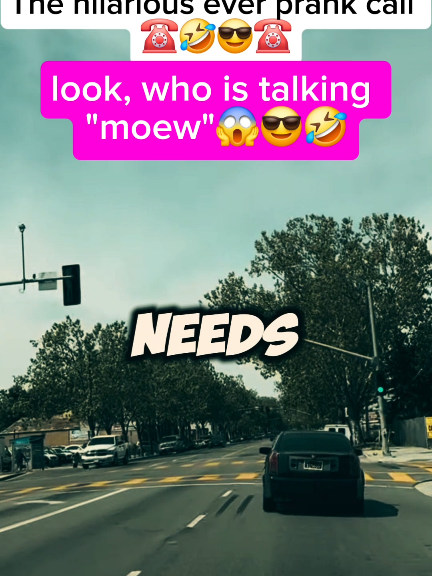 look who is talking 