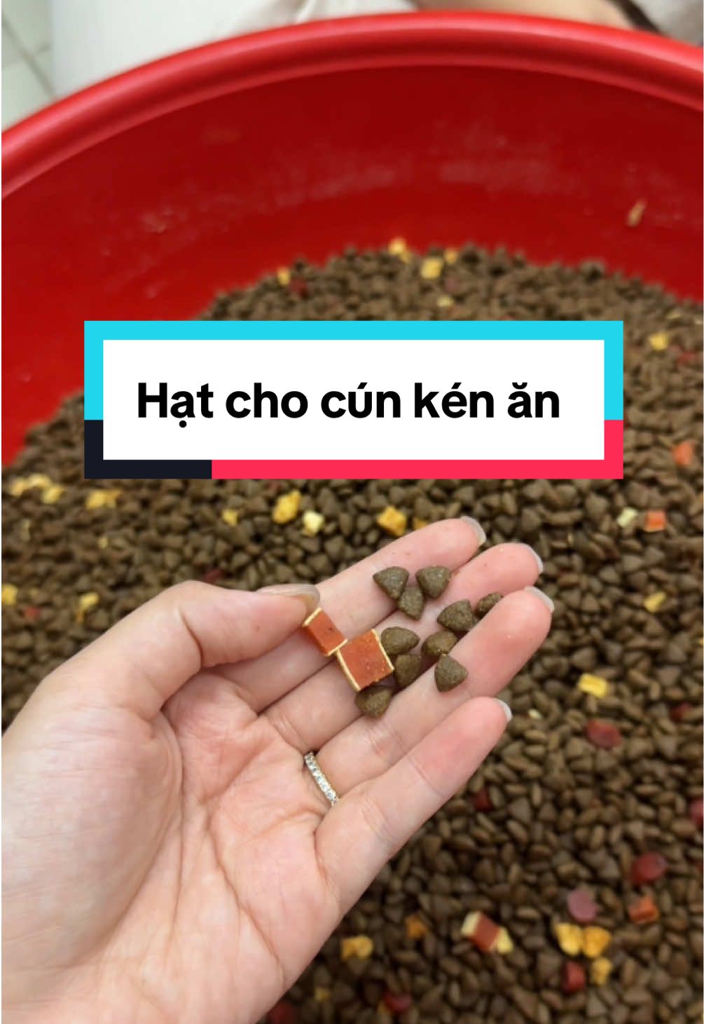 Bà nào còn đang tìm loại hạt cho cún kén ăn của mình thì tham khảo dòng Captain này nha. Hạt siêu thơmmm #hatchochokenan #hatcaptain #hatchocho #thucanchocho #doanchocho #vutruthucung 