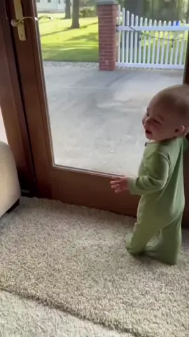 Although dogs can’t talk,they express their love through cations#baby #Love #pet #tiktok #Foryou #lovestory #dog #dogtiktok #cute 