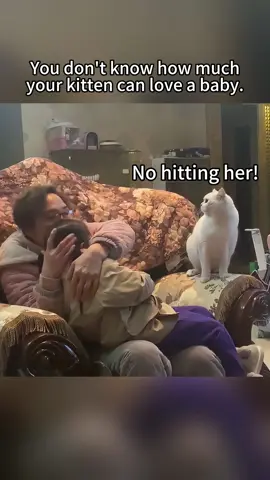 I will protect you forever#cat #catsoftiktok #cats #Love #baby #fyp #foryou #funny #pet #usa 