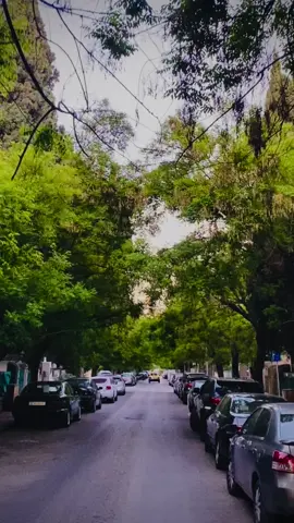 قد مر بياع العطور في دارنا