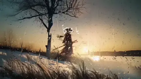 جزء 3 | يا شاكياٍ هم الحياة وضيقها  #شعر #اللهم_صل_على_نبينا_محمد #شعراء_وذواقين_الشعر_الشعبي 4#شعراء #اكسبلور #فصحى #اللهم_صل_على_نبينا_محمد #تفكير_عميق 