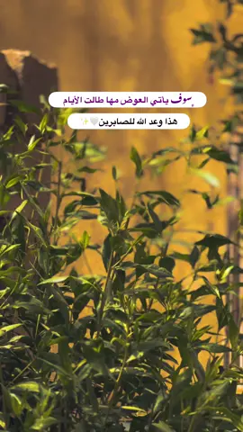 #جزء 124 |#قناتي_تليجرام_بالبايو💕🦋 #تصويري_احترافي_الاجواء👌🏻🕊😴 #عباراتكم_الفخمه📿📌 
