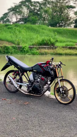 👋🏻👋🏻. #tigergank🤙 #tigerputaa #tigerherex #herexjatim #fypシ゚ 