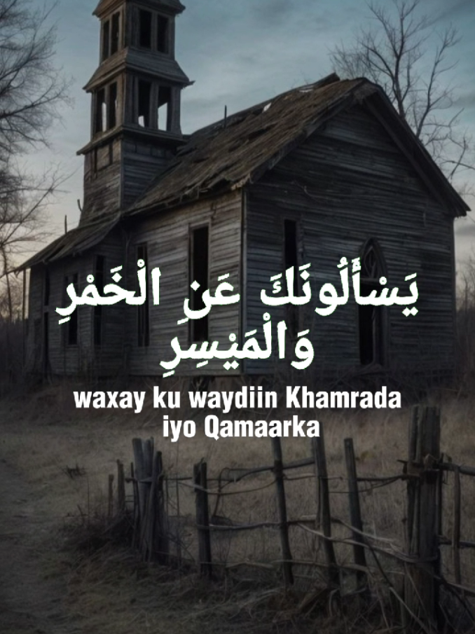 Sourat Al-baqrah💝🕋.ilaahey wuu inaga xarimay khamaarka •#quran #qurantiktok #quranrecitation #fyp #sulthandaaci #creatorsearchinsights 