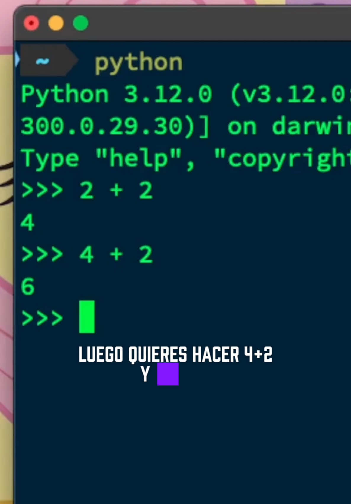 Uno de mis trucos de Python favoritos para terminal #python #programacion #javascript #Tech #tecnologia #html #ingenieria #antiprofe #tips #AprendeConTikTok #AprendeEnTikTok 