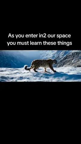 Humans don't appreciate something until they loose it.  #awareness #happy #fyyyyyyyyyyyyyyyy #truth #fyyyy #higherselfwisdom #happiness #spiritualawakening #foryou #highconsciousness 