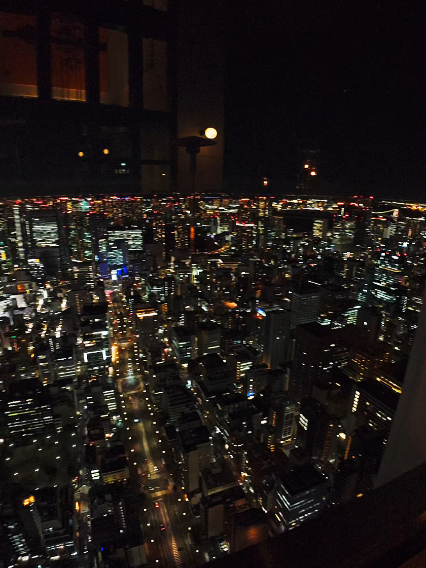 On top of the world. . . #tokyo #nightcore #cityview #fyp 