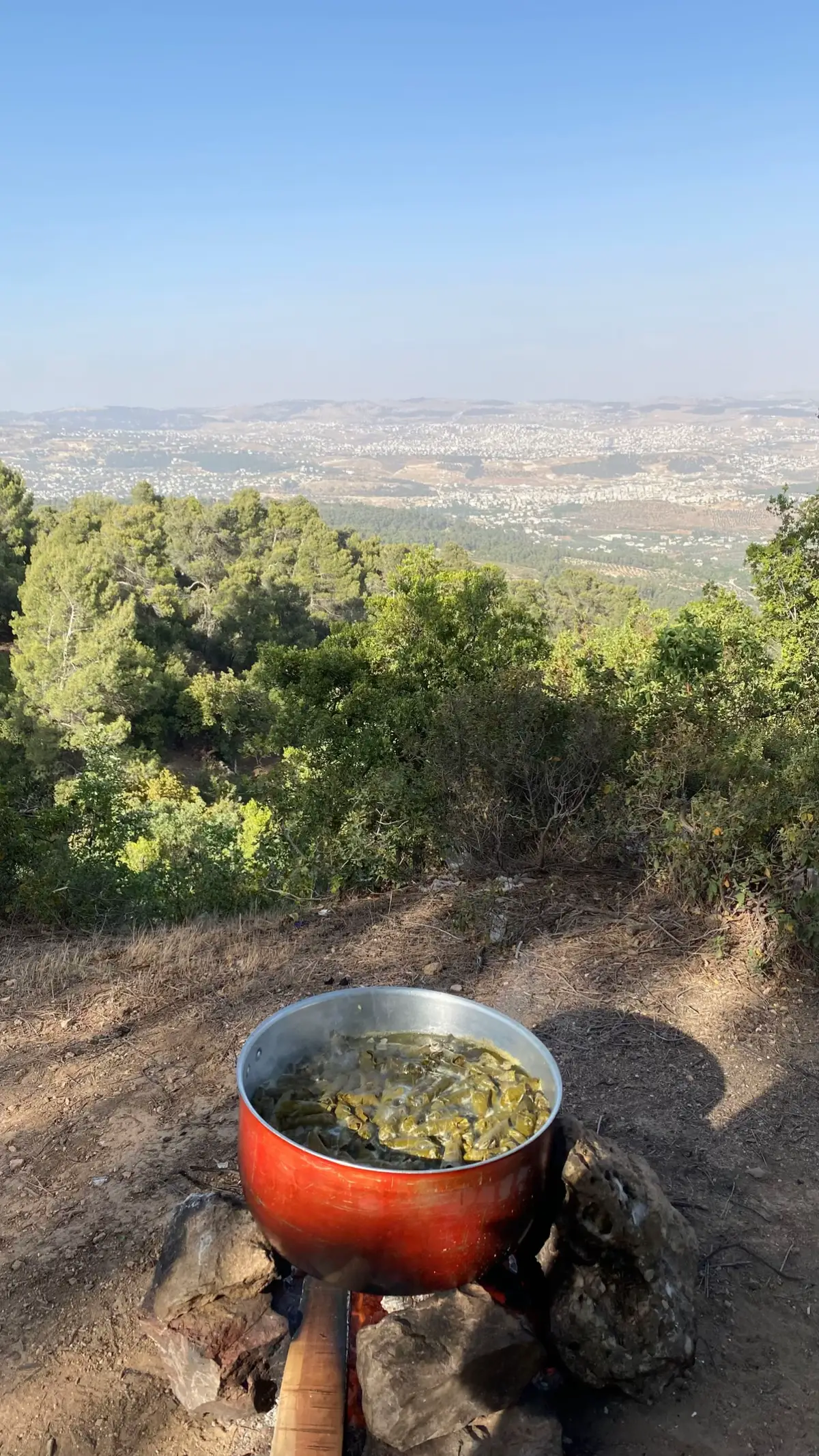 #jordan #jerash #sakib #fyp #foryou #foryoupage #viral #viraltiktok 