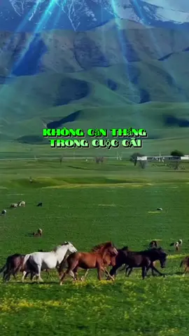 #thiengphuoc #nhungcaunoihay 