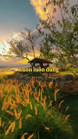 Luôn luôn đúng #luônđúng #đổlỗi 