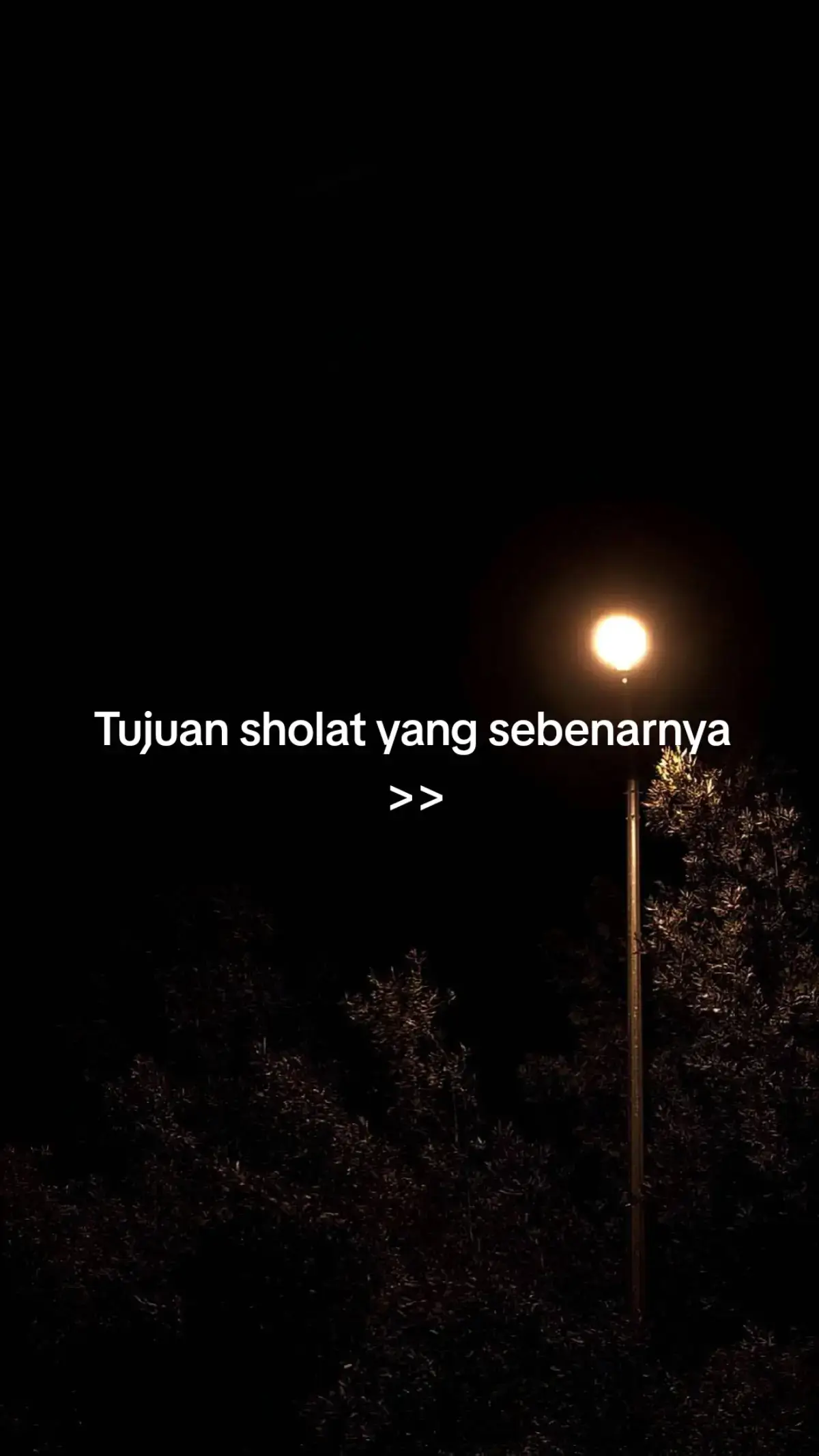 #arabic #arabicsong #video #videoviral #islamic #islamic_video #fypage #fyppppppppppppppppppppppp #fypシ゚ #fypdong 