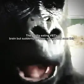 Caption #foryoupage #viral #edit #jonjones #jonbonesjones #gorilla #gorillavs100men #100men #UFC #mma #danawhite