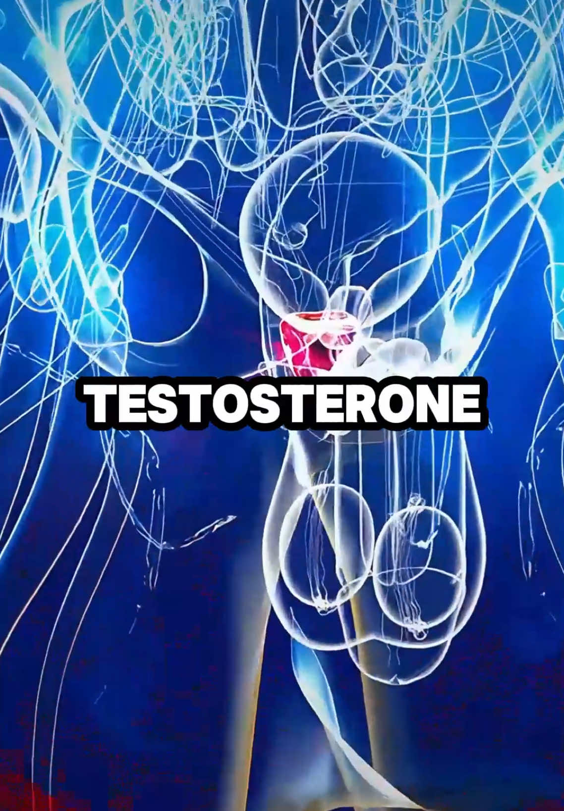 9 best foods to boost Testosterone  #healthy #healthtips #nutrition #testosterone #foods #