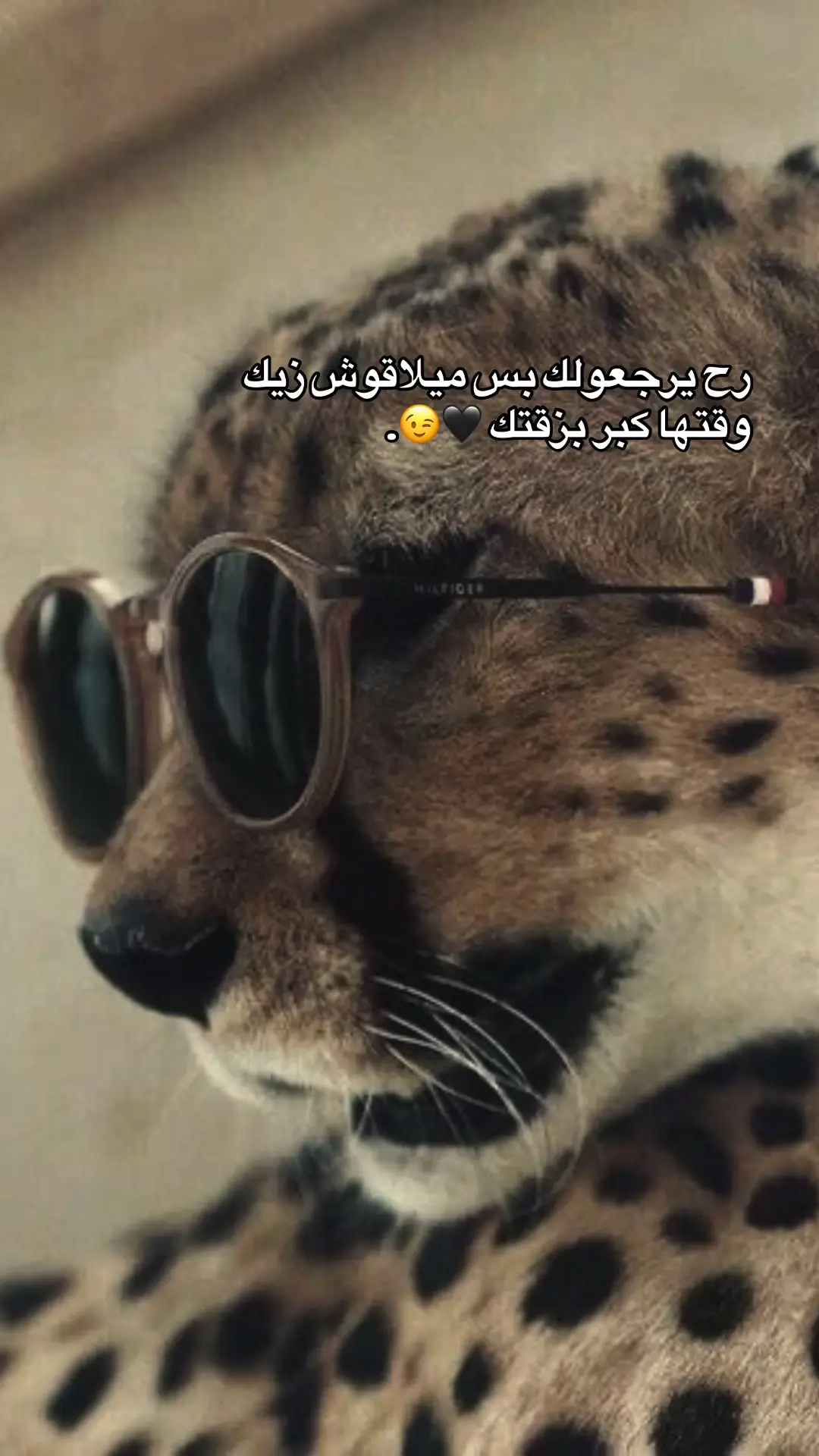 #fyp #viral #عبد_الودود_🐆 