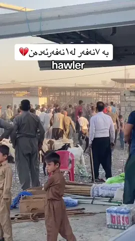 #شەڕ