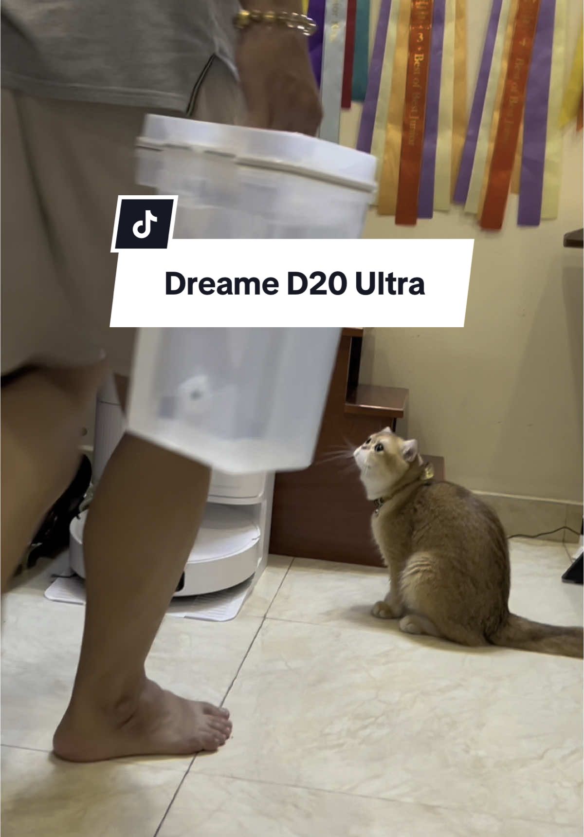 Nhà có thêm thành viên mới cả chó cả mèo cả robot 😆😆 #cauvang #mecauvang  #DreameVietnam #DreameD20Ultra #robotlaunhahutbui  