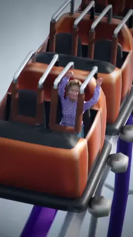 Why Size Rules Exist On Rides 😨
