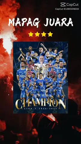 Alhamdulillah Persib juara 🏆 #persib #Bobotoh #bandungpesta 