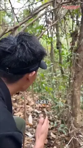 sinh tồn ở nơi rừng nhiệt đới Lào #sanbat #sinhton 