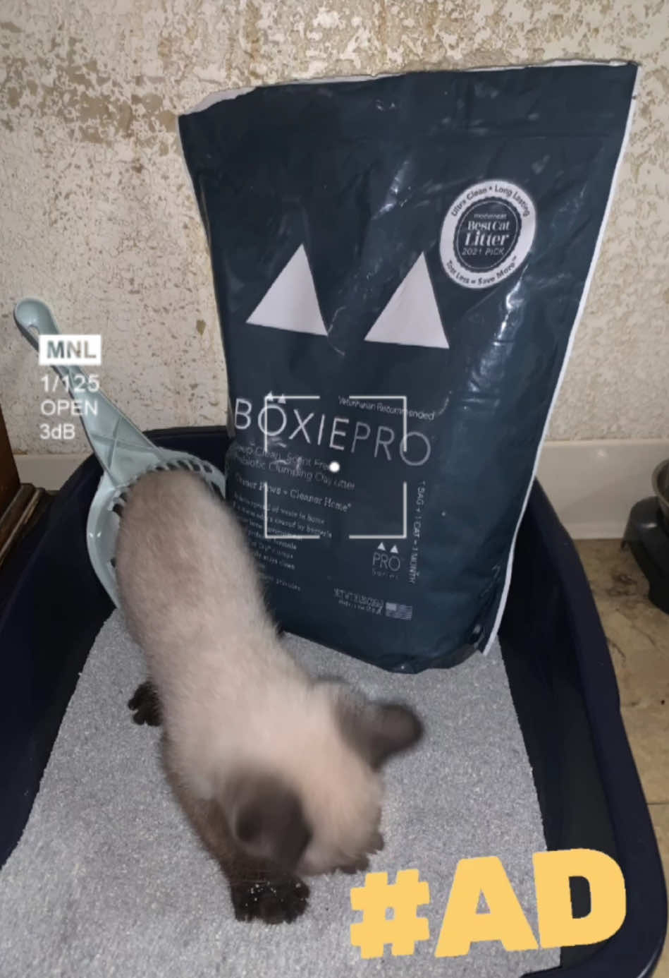 @boxiepet sent my baby Thor a 16lb bag of BoxiePro a Veterinarian Recommended cat litter. This is a scent free probiotic clumping cat litter. This is a long lasting cat litter, so far Thor has been using it for about a week now. Now as cat moms let’s get down to the dirty deets! I’m a home mom so when my baby goes I clean it out immediately, I mean I don’t want to smell it. This cat litter is a smaller texture but really clumps out so well. Scoop and dump is done easily with this one! The best part about this cat litter is you can sign up for automatic delivery’s straight to your door! No more going to the store and lifting those heavy tubs. This is a resealable bag you just pour in and you’re ready to go for thirty days! #boxiepet #boxiepro #proseries #bestcatlitter2021 #complimentary #claylitter #scentfree #1bag1cat1month #30days #veterinarianrecommended #sponsored #ad #sponsor@boxiepet 