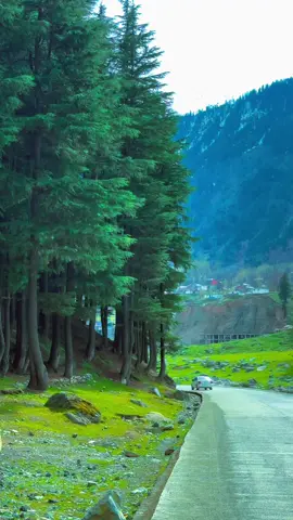 اس جگہ پے کون کون گیا ہے ؟ Special Discount and offers for tiktok Clients Bookings are In progress for 3 days Naran Kaghan ~5 days Hunza Naltar China Border ~6 days Skardu Bashu Tour ~8 days Hunza Skardu Naltar tour ~5 days Fairymedows Nangaparbat ~3 days Neelum Kashmir ~3 days Swat Kalam Malamjaba For Booking details Dm #mountainpeaktours #travelwithsaad #naran #swat #kalam #kalamvalley #kalam#kalamazoo #trip #tours #frozenSkardu #hunza #blossom #fun #entertaintment #hunza #skardu #happiness #colourfullHunza #coupletours #couplegoals #couple #besttour #besttourcompany #travelwithzain #gbtp #twz 