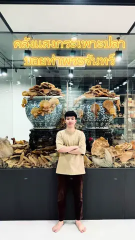 คลังกระเพาะปลา ❣️ #ฟีดดดシ  #บอยท่าพระจันทร์  #markwhite  #กระเพาะปลา  #อย่าปิดการมองเห็น 