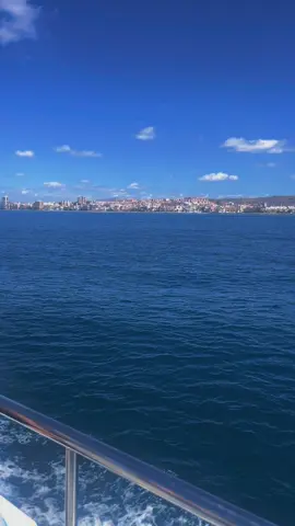 #paratiiiiiiiiiiiiiiiiiiiiiiiiiiiiiii #fyp #vallenato #viral_video 