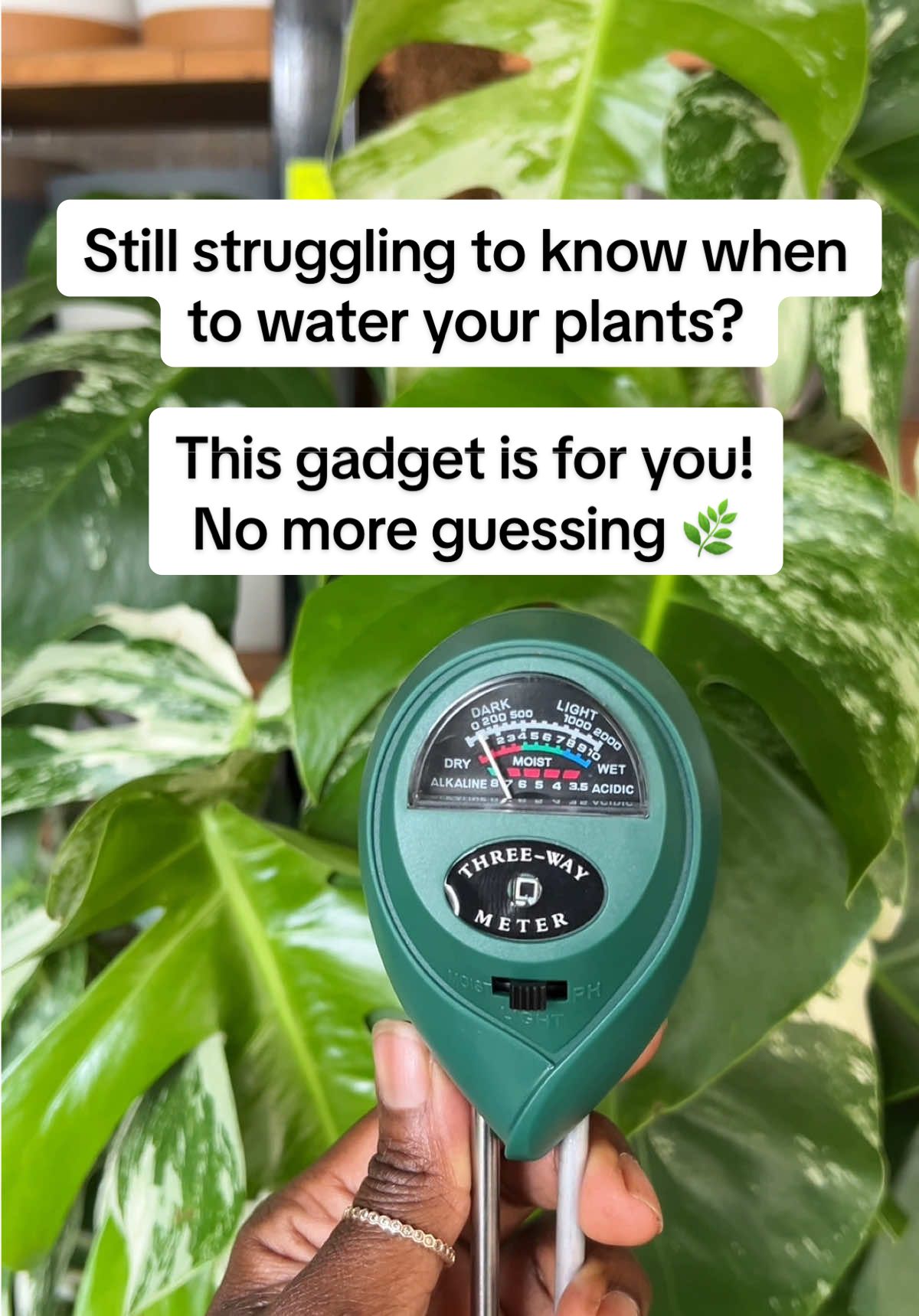 Still struggling to check your plant to know if and when to water? We have a gadget/tool for helping you with houseplant care! No more guessing about how much you should water your plants!  This soil tester gives you accurate readings so you know exactly when to water your plants. Just remember to wipe it clean in between uses for the best results.  They go for Kes.800 . #nairobiplantshop #plantologykenya #moisturemeter #plantcare #planttools #houseplants #soiltester #gardeningtools #plantcare #accuratereadings #moisturelevels #garden #gardening #plantbedroom #cozydecor #bedroomaesthetic #aesthetichome #indoorplants