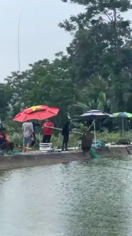 Báo Cá  @Dũng Múa Lân Fishing @Thành Bắc 
