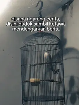 halo sobat ropel👋