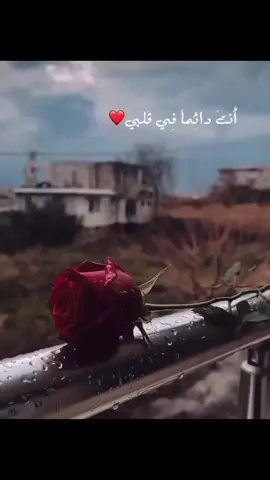 #❤️ #🥀🥀 #يسعدلي__اوقاتڪۘم #❣️ #🥀🥀 