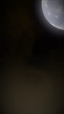 #CapCut  هذي سمحه وهذي القمر🌕. @EKRAM ALGAMUDI  #اسنطبول_تركياا🇹🇷🦅الاكسبلورررر  #طرابلس_ليبيا  #طبرق_بنغازي_درنه_طرابلس 