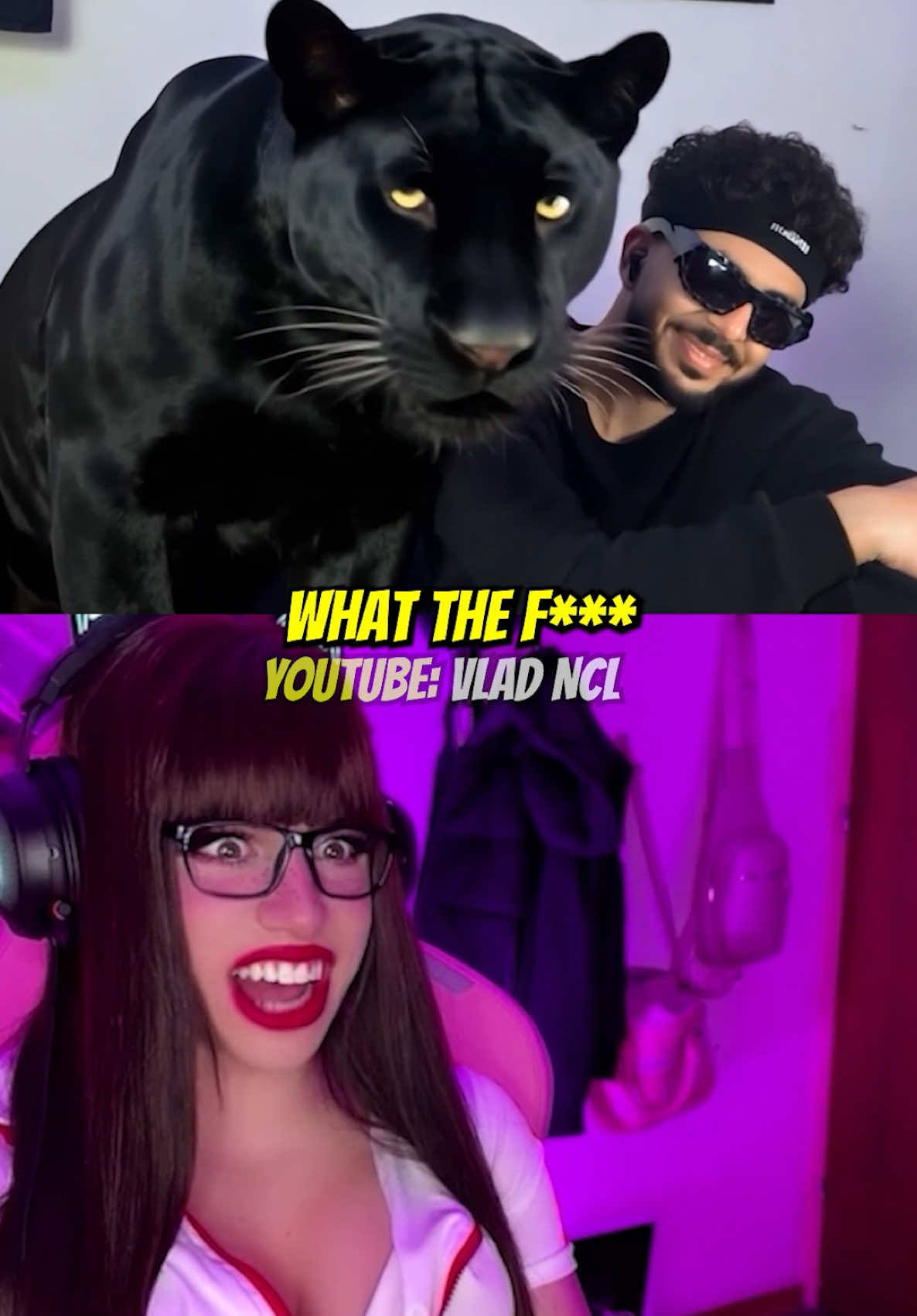 Bro has a kitty 💀 