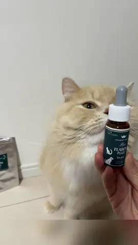 ペット用プロポリスサプリ「Bio FLABON PLUS for pet」は、高濃度プロポリスエキスを配合した液体タイプのサプリ！！ 直接ぺろっと舐めてくれたよ！！ PR #ペット用サプリ #ブラジル産 #液体サプリ #propodeinfo #プロポリス健康増進会#PR 